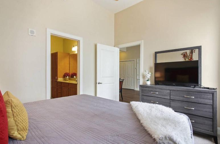 Amazing Condos Beautiful View 2 Blocks To French Quarter, Small Rooftop Pool, Gym, Seanger Theater, Super Dome, And Bourbon St New Orleans Exterior photo